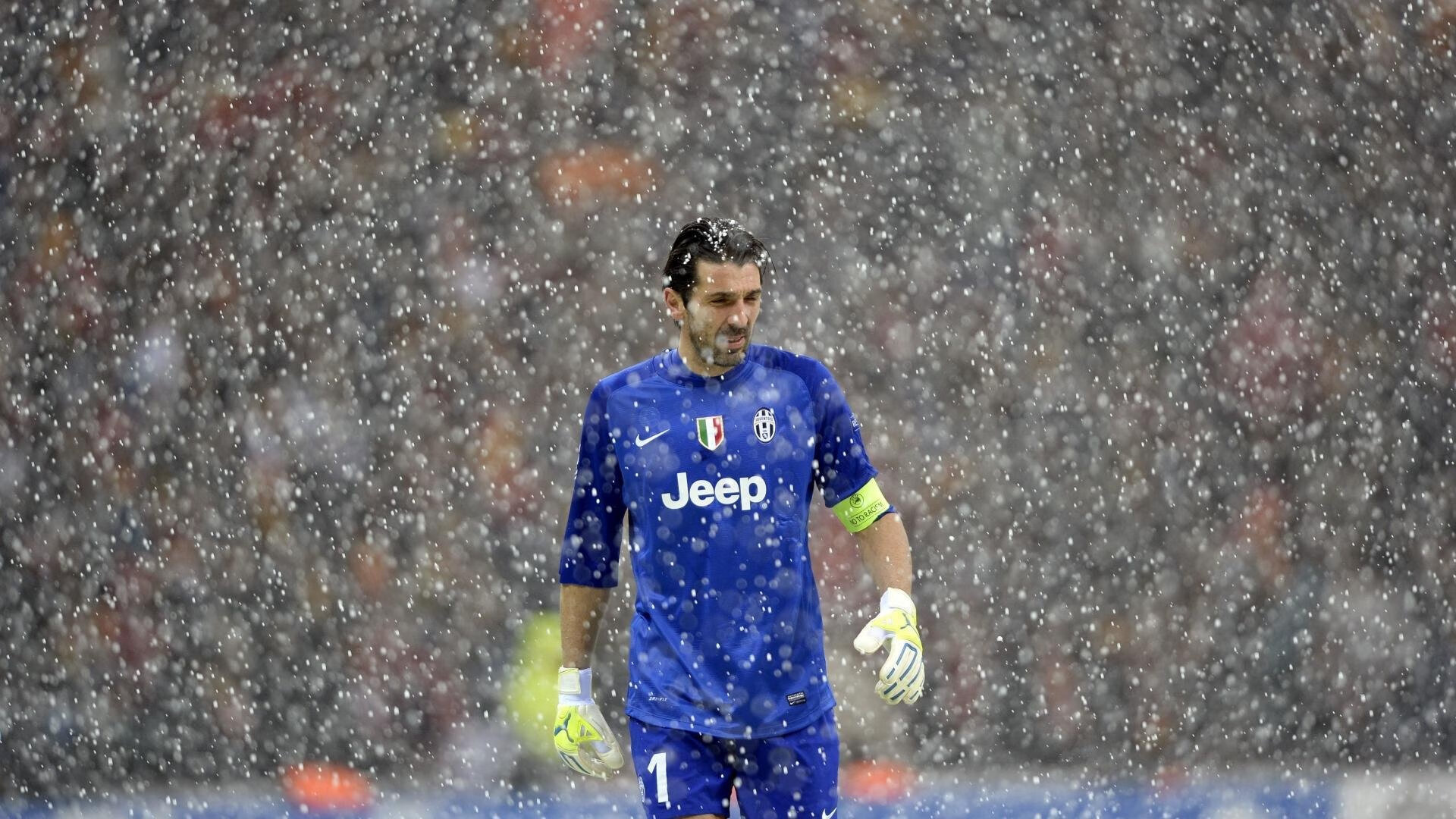 开云体育在线登录-环保战役：绿色动力助推未来WRC，绿色环保行动活动项目有哪些